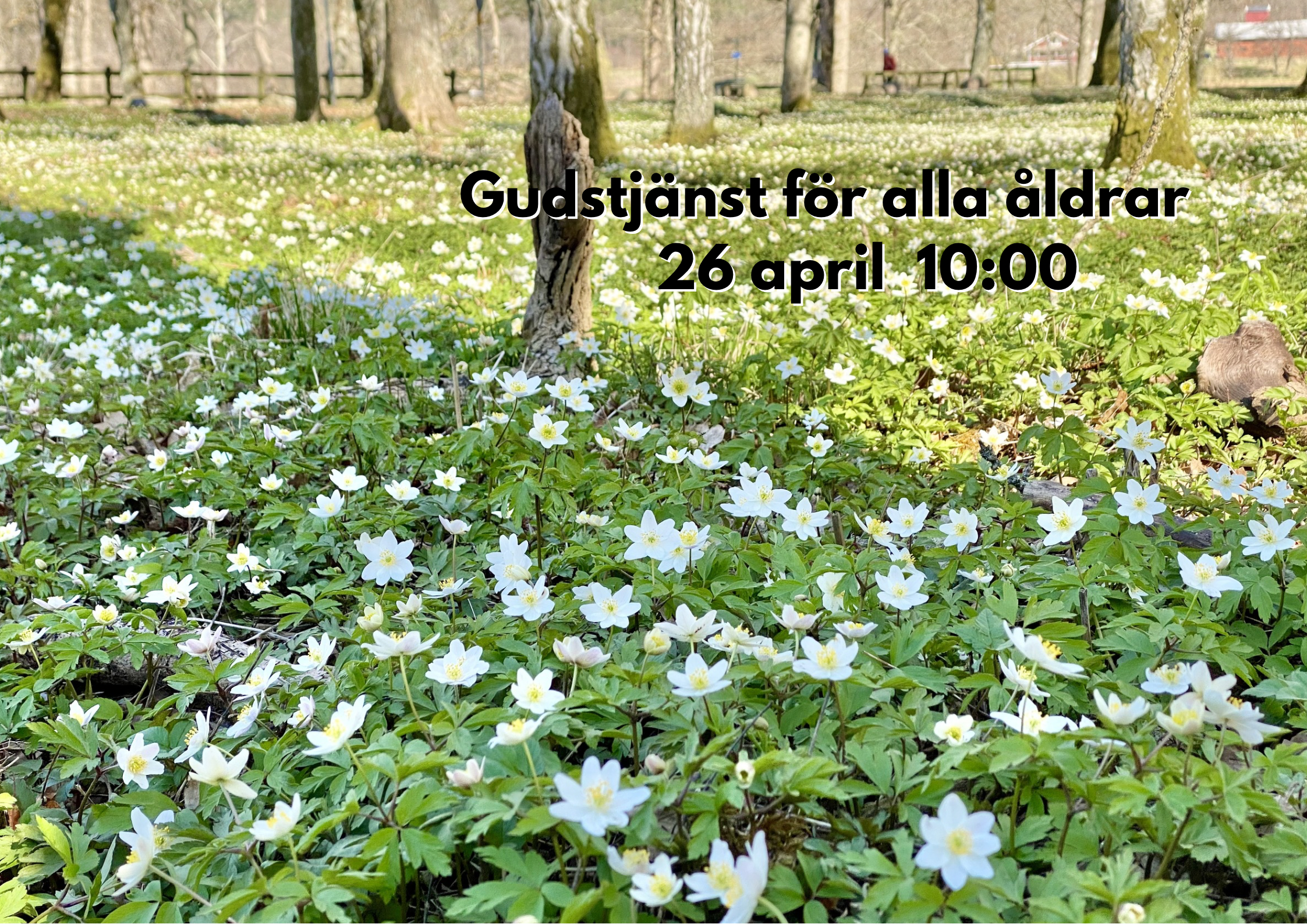 26/4 10:00 Välkommen till en gudstjänst för alla åldrar.